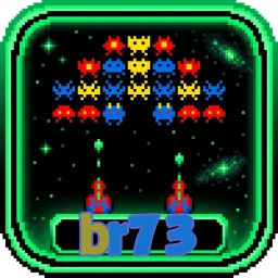 br73
